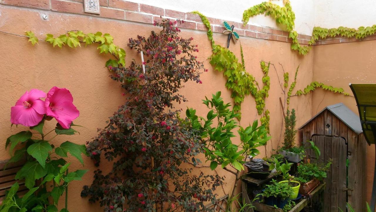Autan Des Couleurs Bed & Breakfast Albi Exterior photo